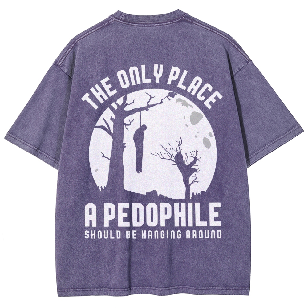 The Only Place A Pedophile Washed Vintage T-shirt