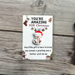 🔥🎁10PCS Little Pocket Christmas Hug