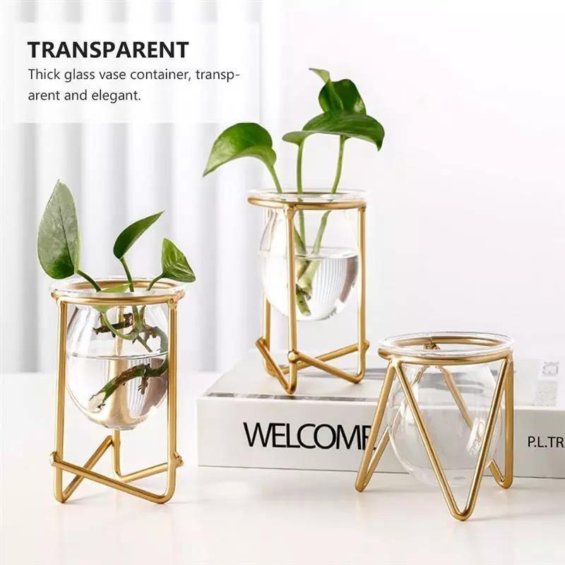 Modern Glass Plant Vase