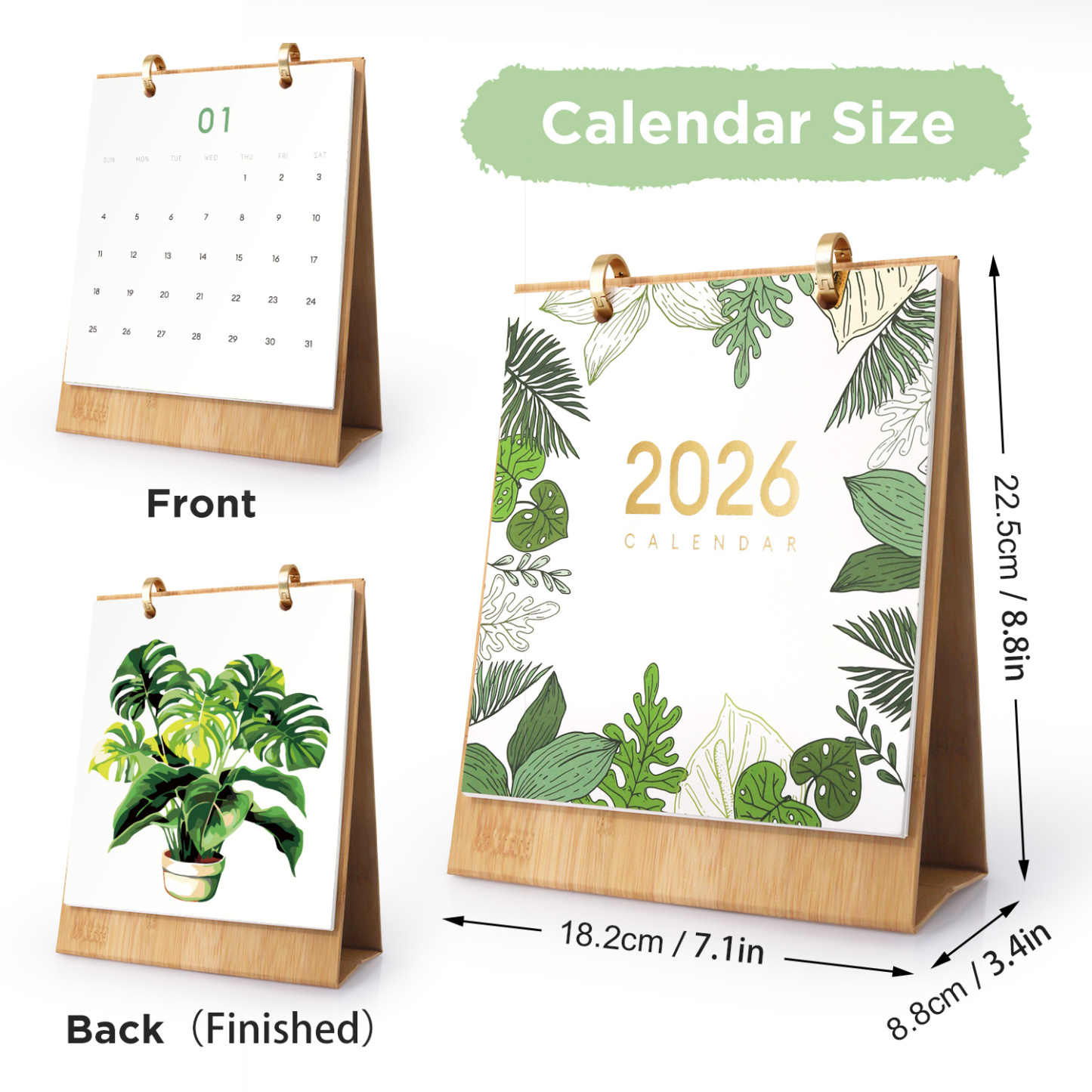 Botanical Coloring Calendar 2026