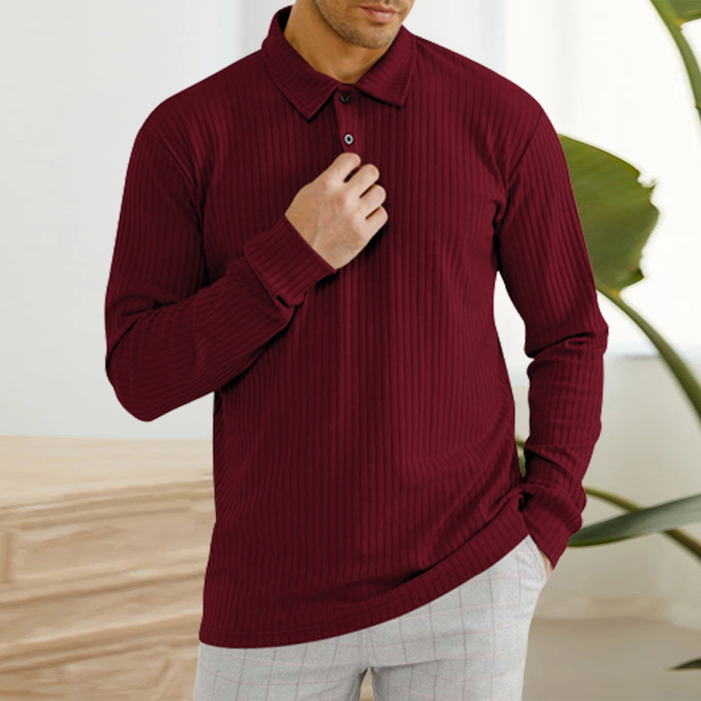 Blauschwan™ Herren Classic Casual Revers Knopf Langarm Polo Shirt