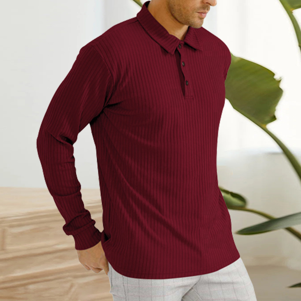 Blauschwan™ Herren Classic Casual Revers Knopf Langarm Polo Shirt