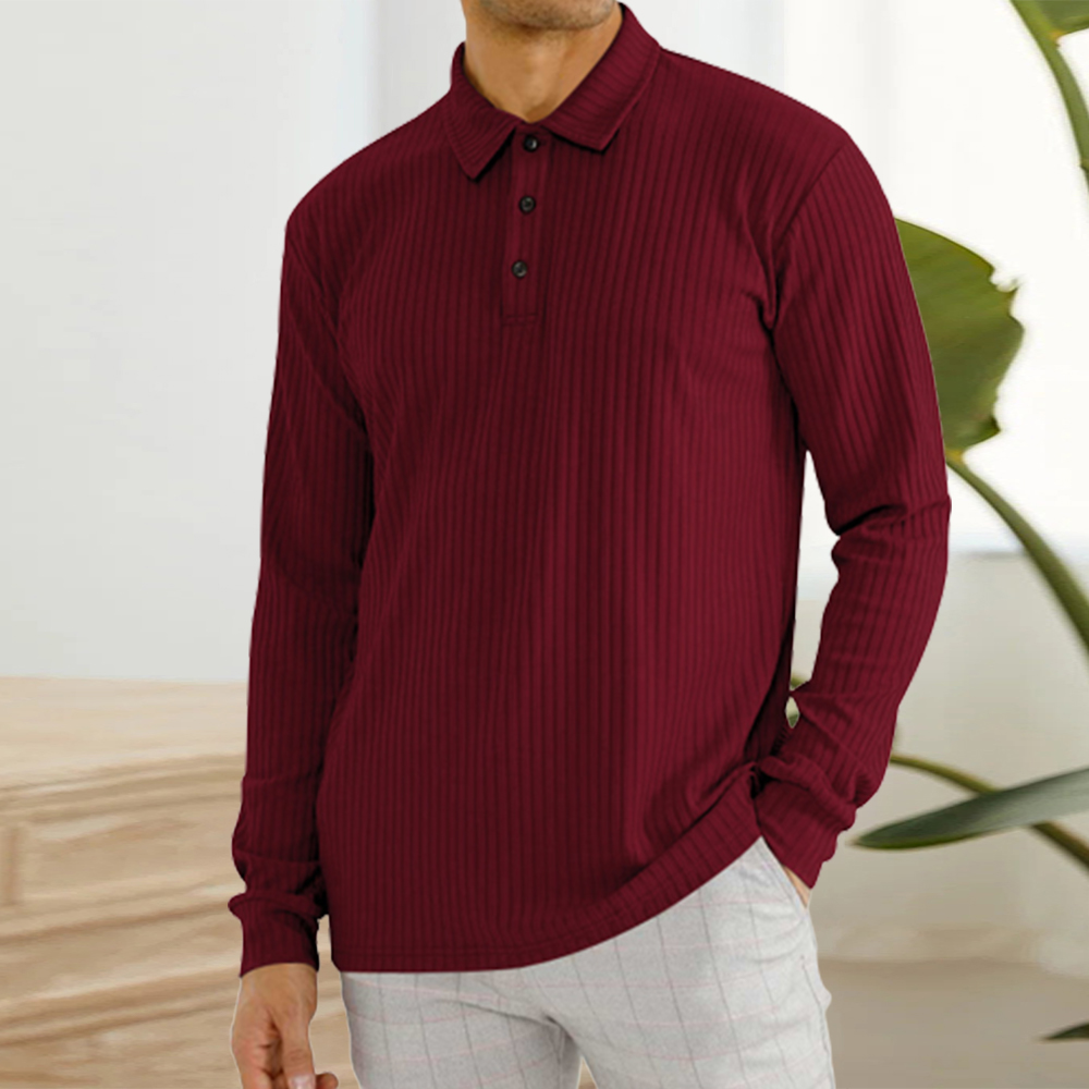 Blauschwan™ Herren Classic Casual Revers Knopf Langarm Polo Shirt