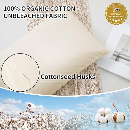 Organic Buckwheat Pillow for Sleeping - Standard Size 20''x26'', Adjustable Loft, Breathable for Cool Sleep, Cervical Support for Back and Side Sleepers