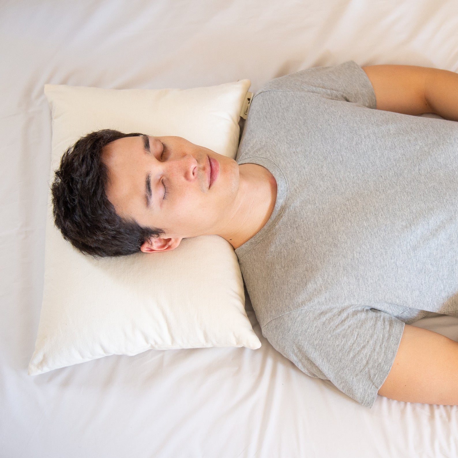 Buckwheat Hull Pillow