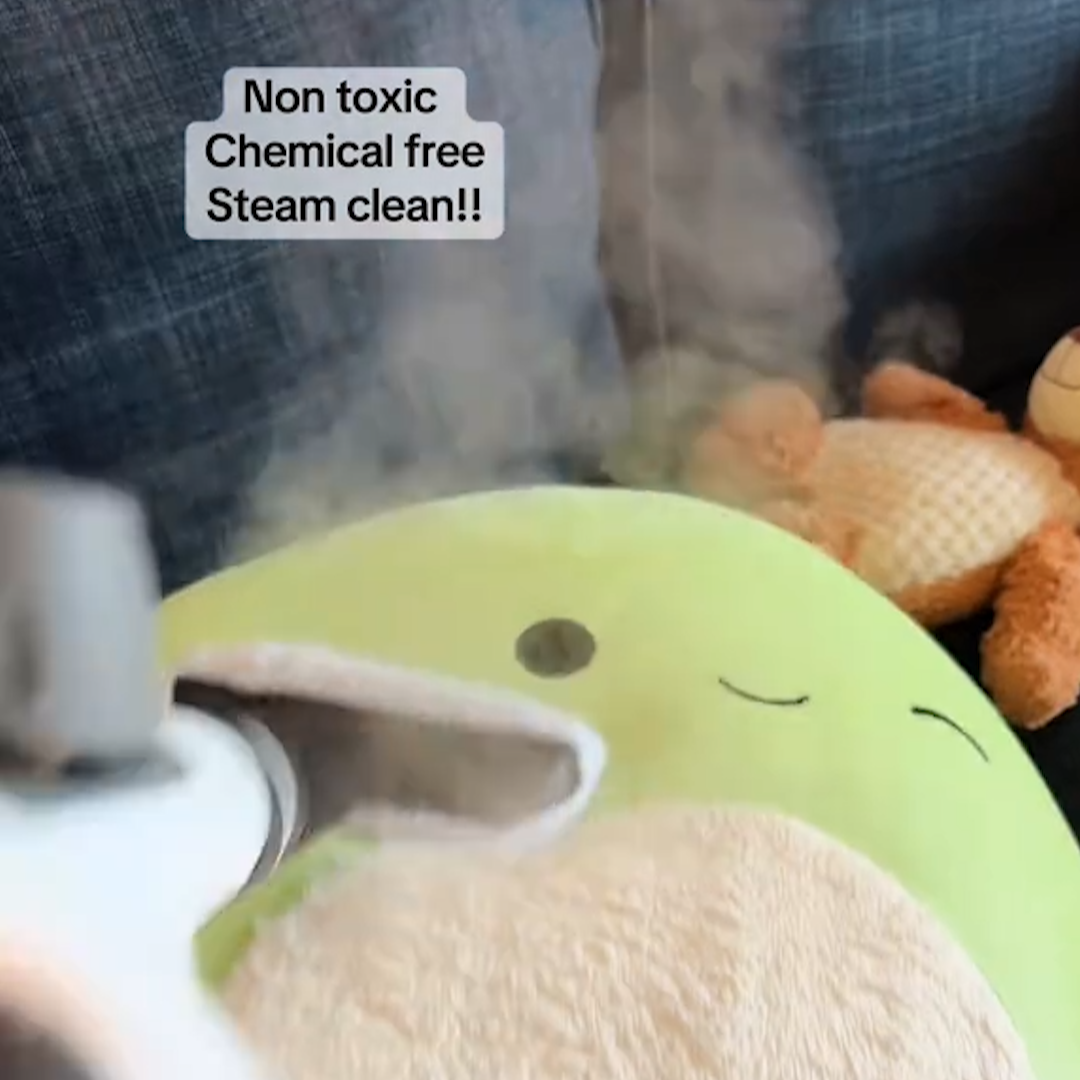 🎄 CleanTouch Steam - Holiday Freshness Made Easy! ✨