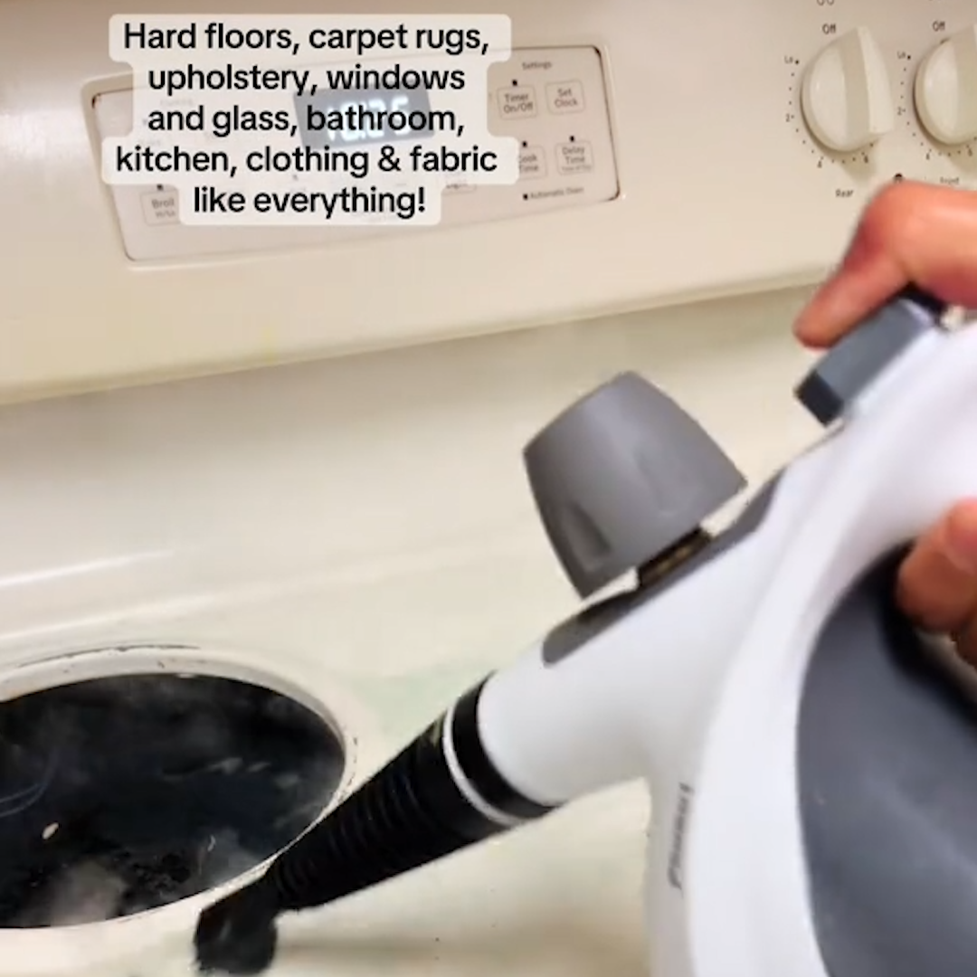 🎄 CleanTouch Steam - Holiday Freshness Made Easy! ✨