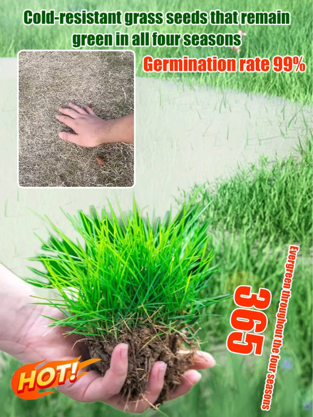Stop Wasting Money on Landscapers! Grow a Pro-Stadium Level Lawn in Just 7 Days 
