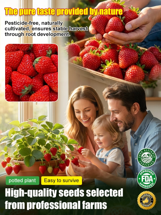 Seeds of Four-Season Strawberries