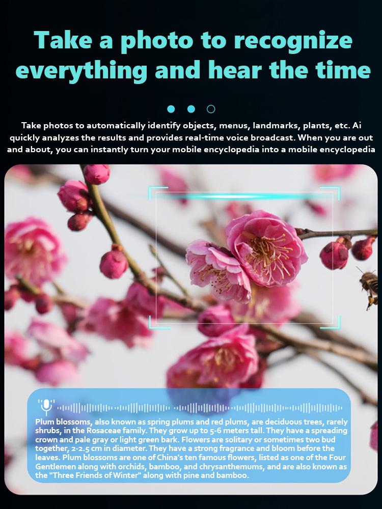 AI smart glasses with camera