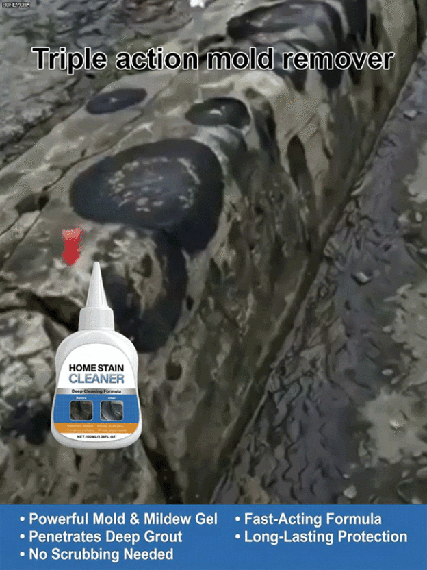 Multi-functional Mold Remover Gel