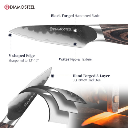 Diamosteel Paring Knife - 3.5-Inch Professional Kitchen Knife - Hammered Black Oxide Blade Japanese 9CR18MOV High Carbon Stainless Steel Sharp fruit Knife - Ergonomic Pakkawood Handle with Present Box