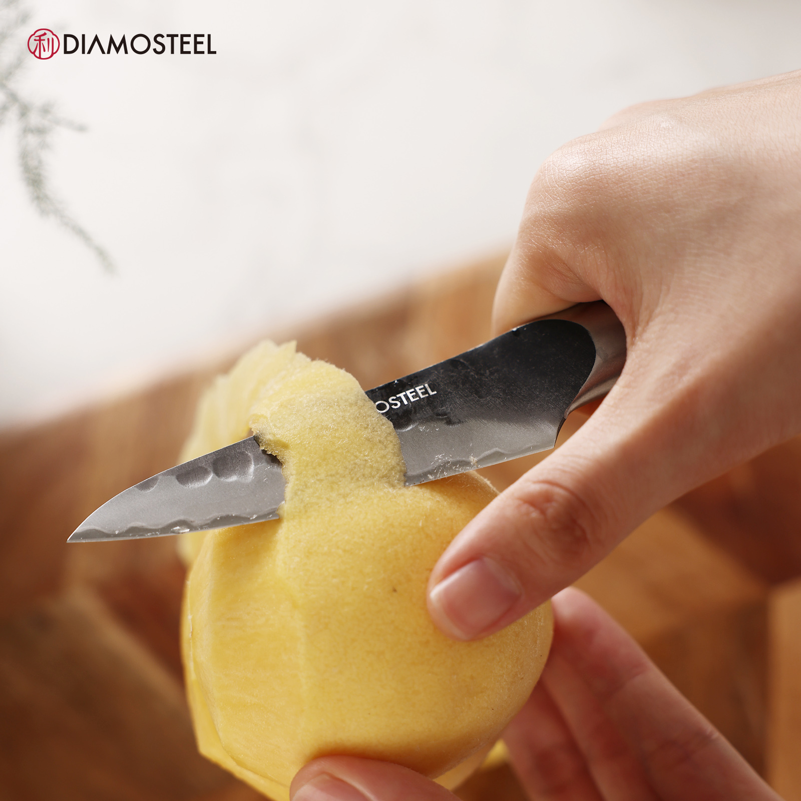 Diamosteel Paring Knife - 3.5-Inch Professional Kitchen Knife - Hammered Black Oxide Blade Japanese 9CR18MOV High Carbon Stainless Steel Sharp fruit Knife - Ergonomic Pakkawood Handle with Present Box