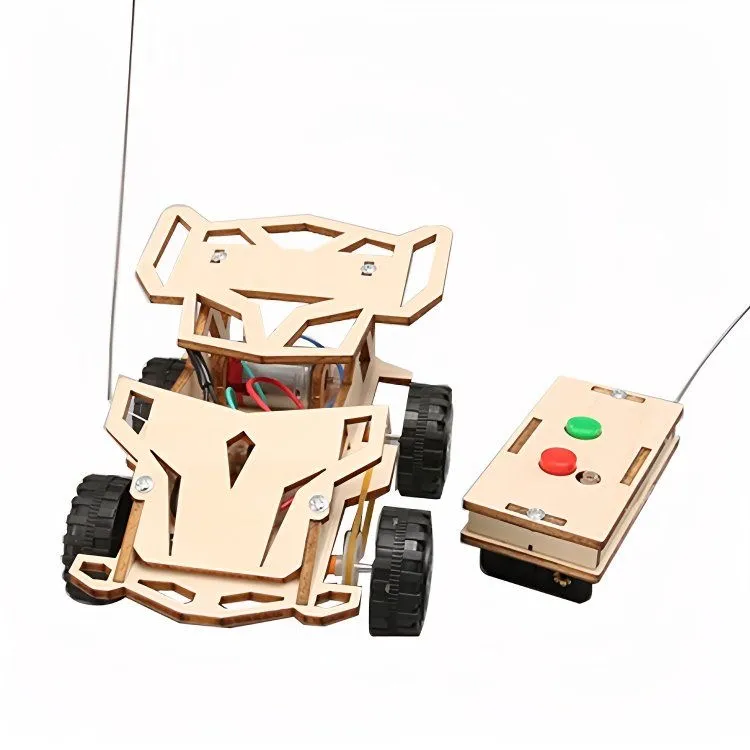 Wooden RC Car