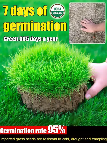 🌿 EverGreen Pro Grass Seed The World’s First USDA Organic Lawn – Green in 7 Days. Never Brown Again.