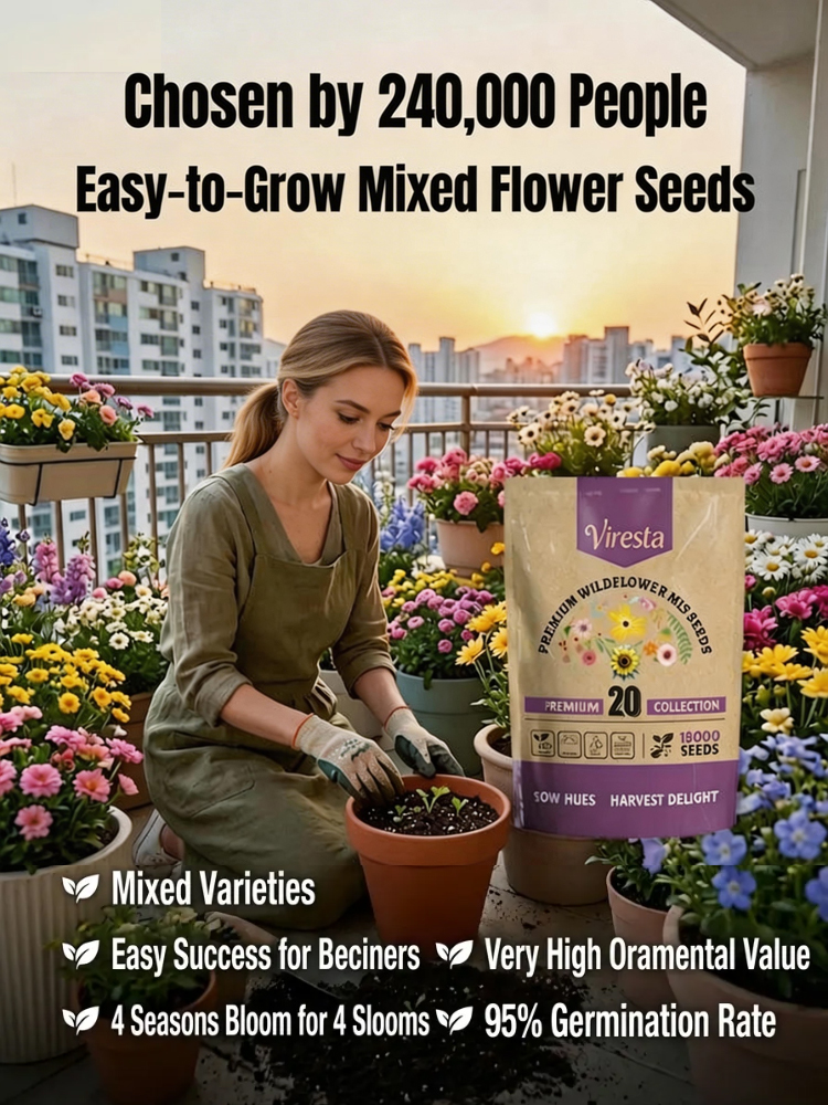 🌸 4-Season Blooming Flower Seeds – Mixed Colors, Never Fade!
