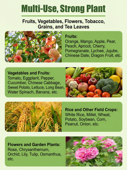 Organic Slow-Release Fruit Tree Fertilizer for Enhanced Root Growth and Higher Yield 🍎🌳 Concentrated Soil Nutrient Booster and Root Conditioner for Superior Fruit Quality 🌿✨