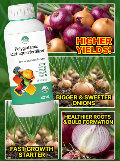 Organic Slow-Release Fruit Tree Fertilizer for Enhanced Root Growth and Higher Yield 🍎🌳 Concentrated Soil Nutrient Booster and Root Conditioner for Superior Fruit Quality 🌿✨