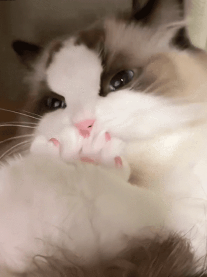 Realistic Electric Plush Cat – 98% Lifelike & Interactive!