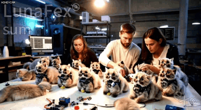 Honeycam 2025-07-04 09-48-51.gif