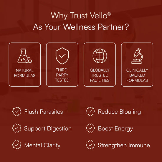 Just two droppers a day of this powerful Parasite Cleanse help flush out the hidden invaders wrecking your digestion, energy, and focus — so your body finally works with you, not against you.