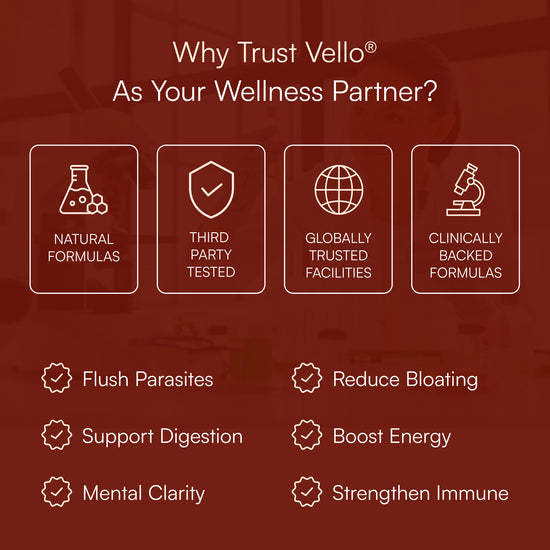 Just two droppers a day of this powerful Parasite Cleanse help flush out the hidden invaders wrecking your digestion, energy, and focus — so your body finally works with you, not against you.