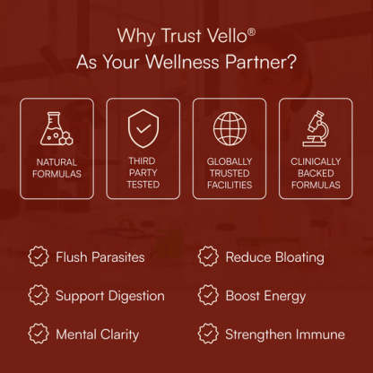 Just two droppers a day of this powerful Parasite Cleanse help flush out the hidden invaders wrecking your digestion, energy, and focus — so your body finally works with you, not against you.