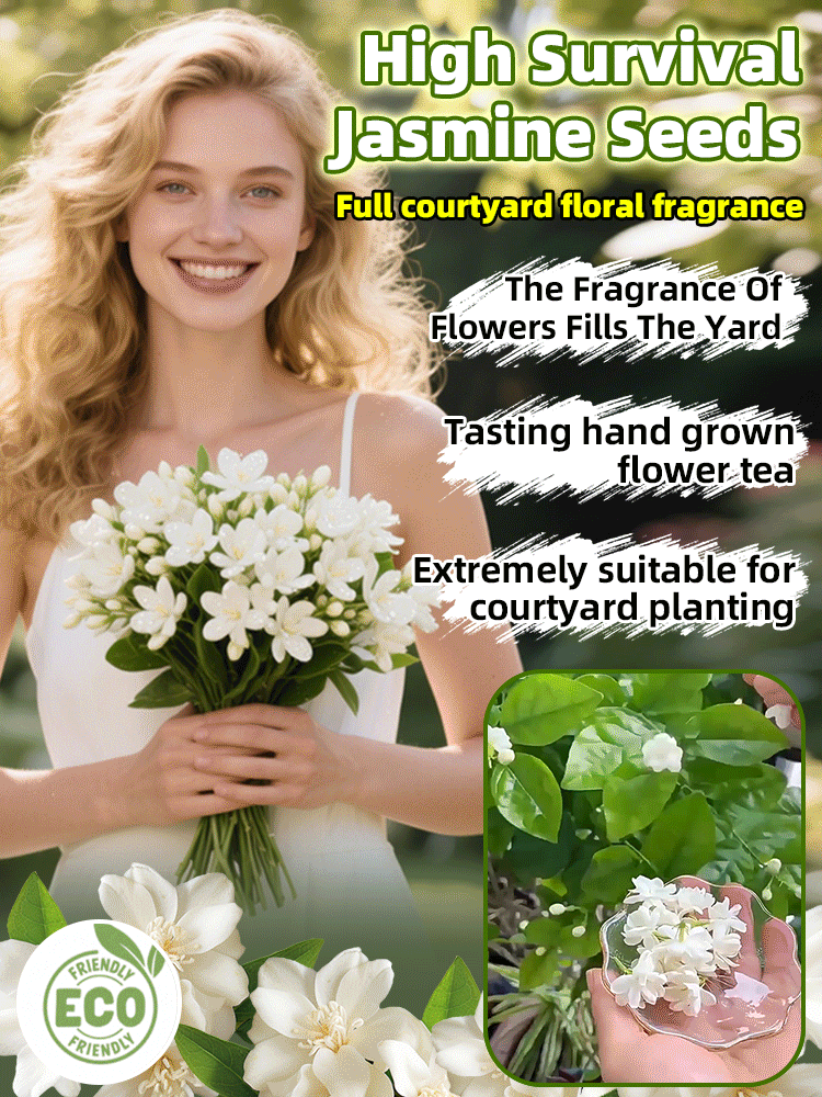 🌸Garden Night Fragrance Master - Double Jasmine Seeds, Blooms All Year Round, Fragrant at Night【Perfume of the Garden】Four Seasons Blooming Double-petaled Jasmine Seeds