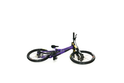Handmade customized MTB model（Pre-order. Shipping on February 28th.）