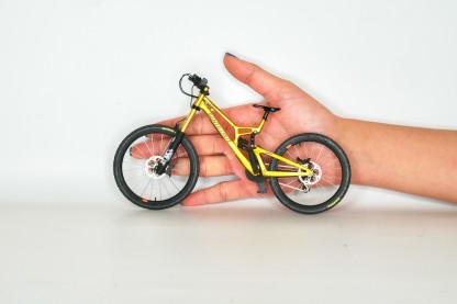 Handmade customized MTB model（Pre-order. Shipping on February 28th.）
