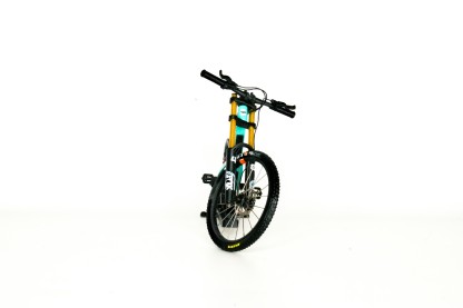 Handmade customized MTB model（Pre-order. Shipping on February 28th.）