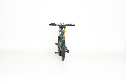 Handmade customized MTB model（Pre-order. Shipping on February 28th.）