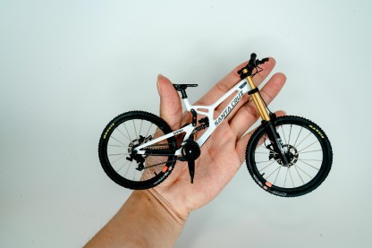 Handmade customized MTB model