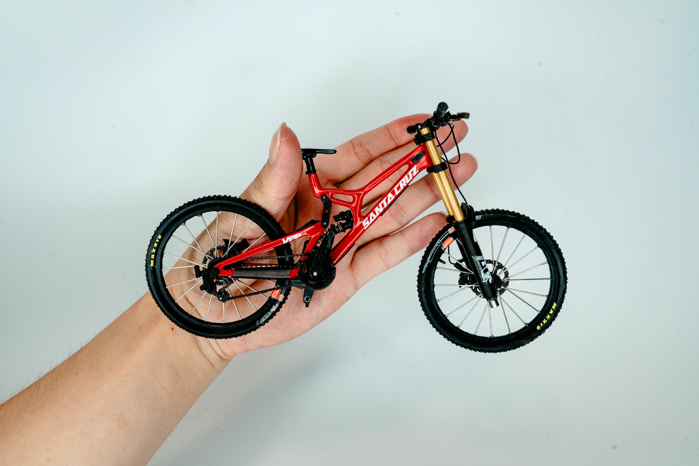 Handmade customized MTB model