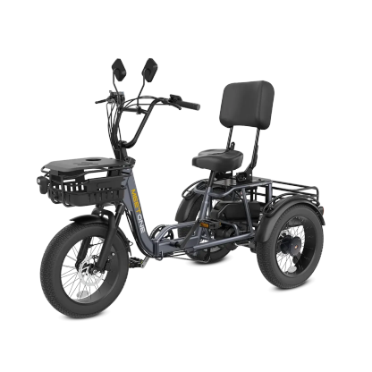 Meet One Breeze Folding Electric Trike