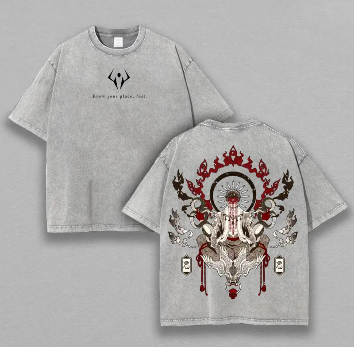 Know Your Place, Fool Printed Unisex Washed T-Shirt