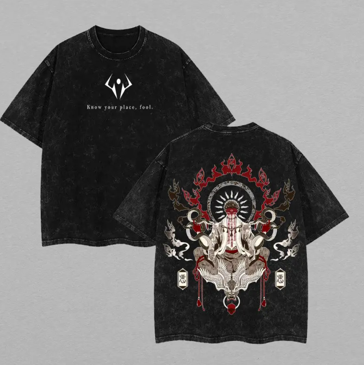 Know Your Place, Fool Printed Unisex Washed T-Shirt