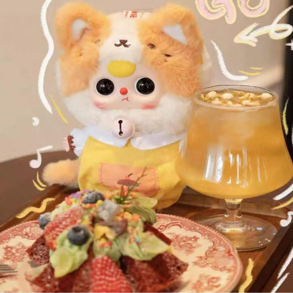 Baby is three years old-Kitten Wardrobe