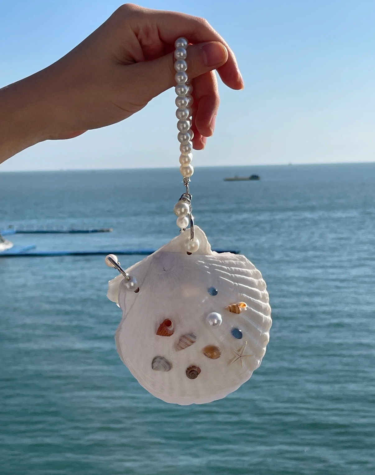 Abalone shell/Lion’s Paw shell/Scallop Shell journal