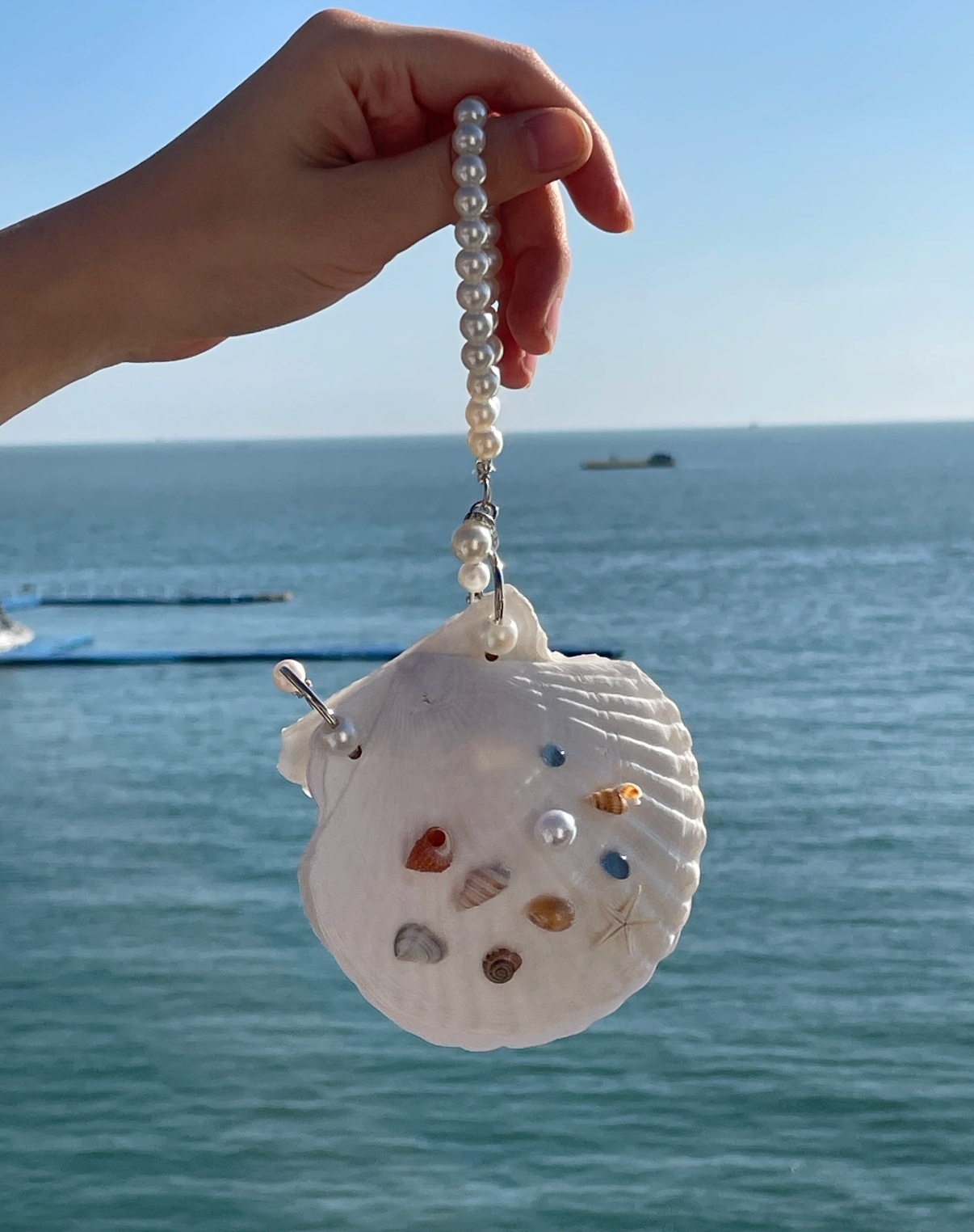 Abalone shell/Lion’s Paw shell/Scallop Shell journal