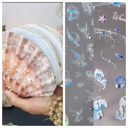 Abalone shell/Lion’s Paw shell/Scallop Shell journal