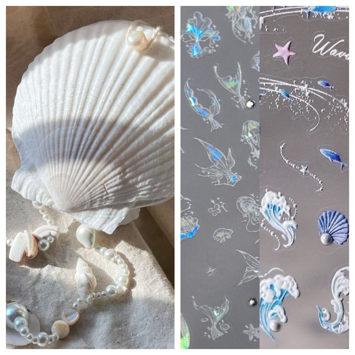 Abalone shell/Lion’s Paw shell/Scallop Shell journal