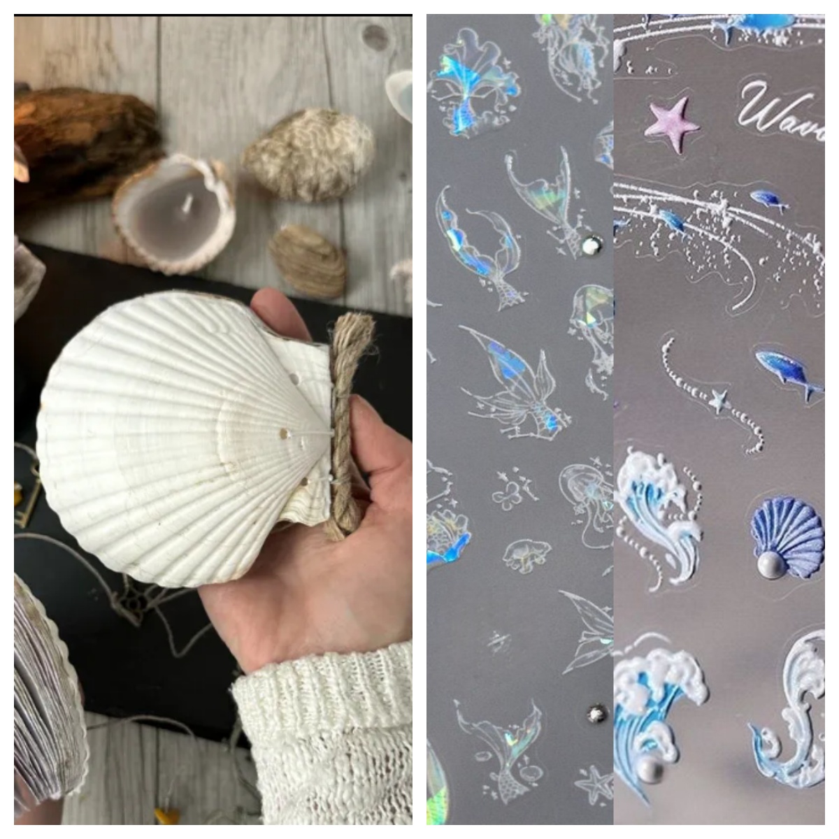 Abalone shell/Lion’s Paw shell/Scallop Shell journal