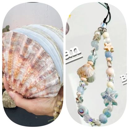 Abalone shell/Lion’s Paw shell/Scallop Shell journal