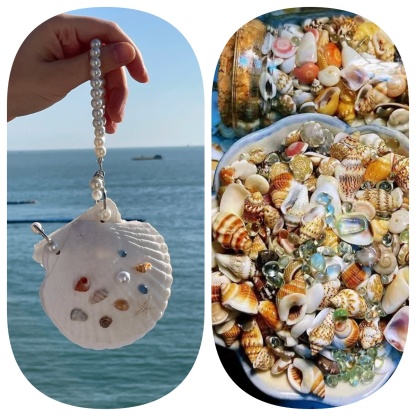 Abalone shell/Lion’s Paw shell/Scallop Shell journal