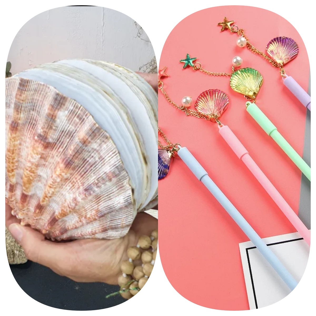 Abalone shell/Lion’s Paw shell/Scallop Shell journal