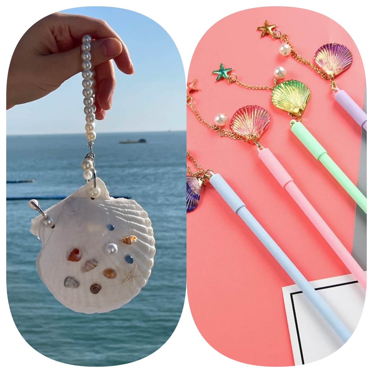 Abalone shell/Lion’s Paw shell/Scallop Shell journal