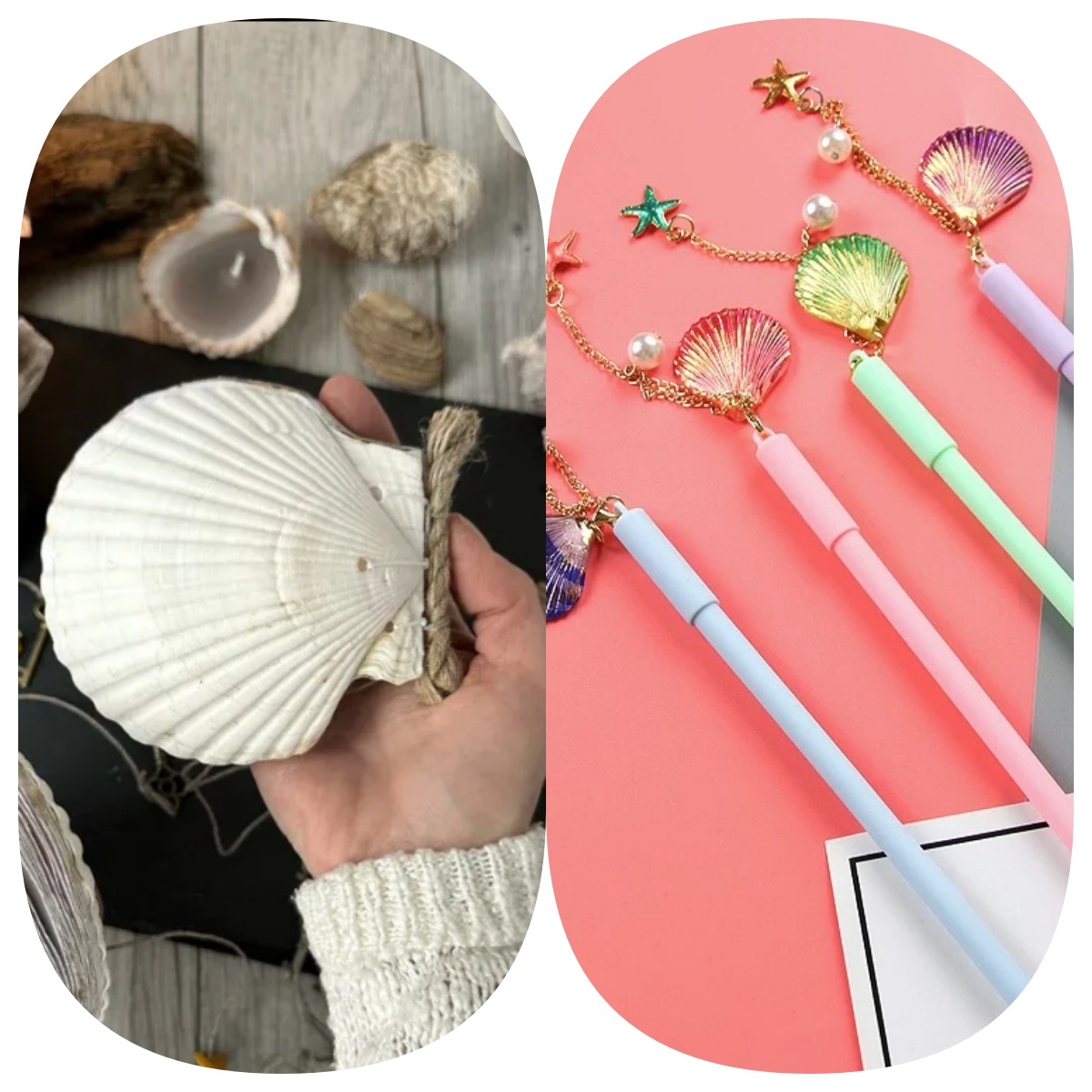 Abalone shell/Lion’s Paw shell/Scallop Shell journal