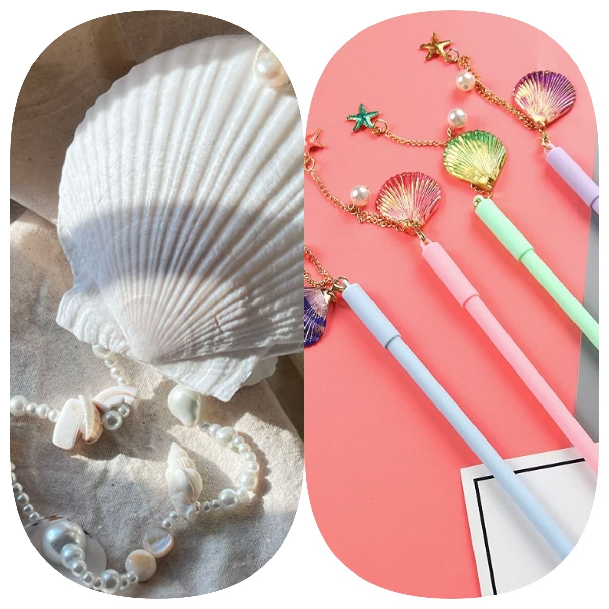 Abalone shell/Lion’s Paw shell/Scallop Shell journal