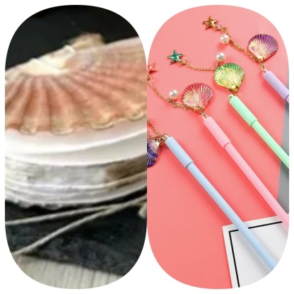 Abalone shell/Lion’s Paw shell/Scallop Shell journal